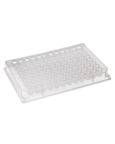 Placa para cultivo de células fundo chato Kasvi - Imagem 2